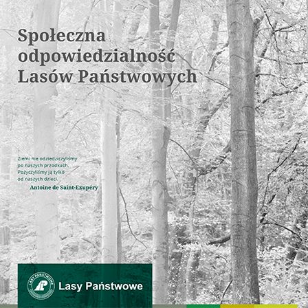 Społeczna odpowiedzialność Lasów Państwowych