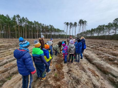 Akcja „Łączą nas drzewa” – przedszkolaki sadzą las